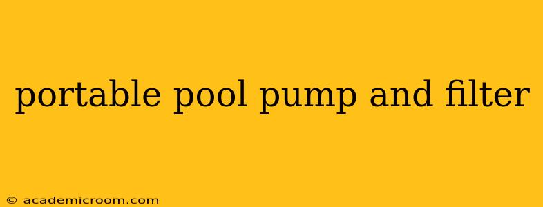 portable pool pump and filter