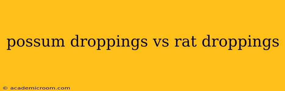 possum droppings vs rat droppings