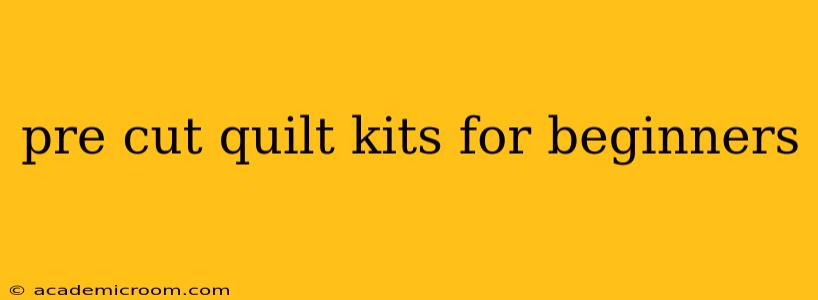 pre cut quilt kits for beginners