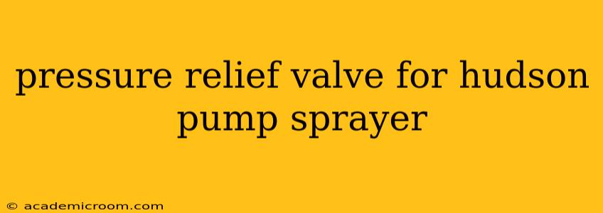 pressure relief valve for hudson pump sprayer