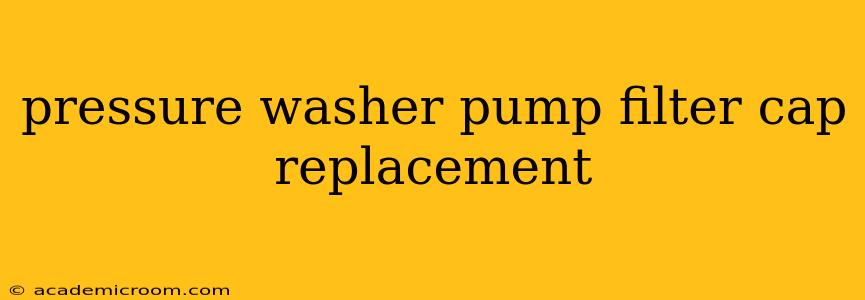 pressure washer pump filter cap replacement