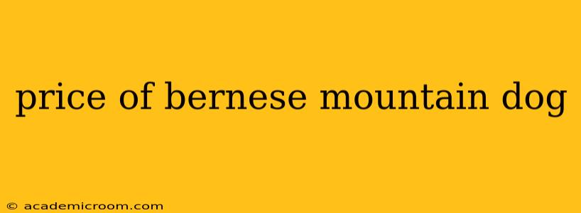 price of bernese mountain dog