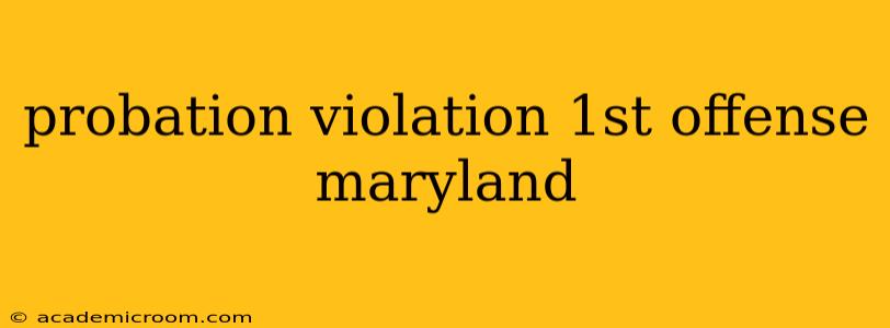probation violation 1st offense maryland
