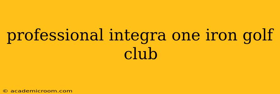 professional integra one iron golf club