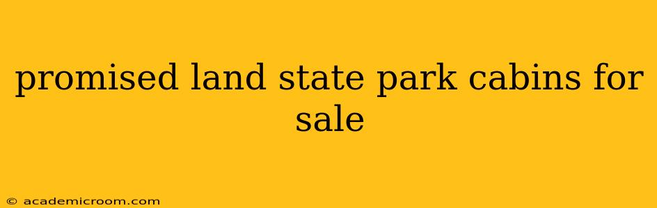 promised land state park cabins for sale