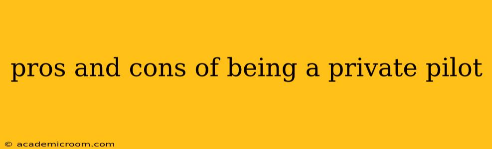 pros and cons of being a private pilot