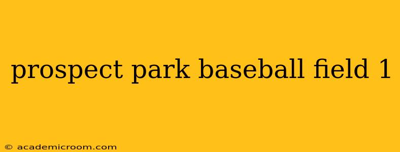 prospect park baseball field 1