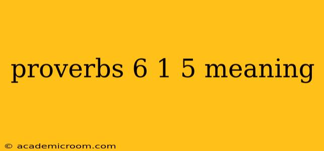 proverbs 6 1 5 meaning