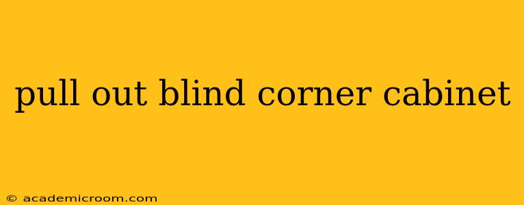 pull out blind corner cabinet