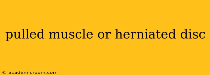 pulled muscle or herniated disc