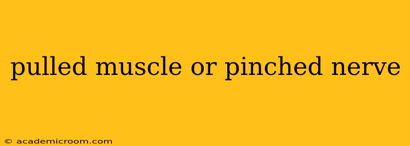 pulled muscle or pinched nerve