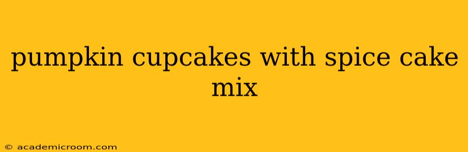 pumpkin cupcakes with spice cake mix