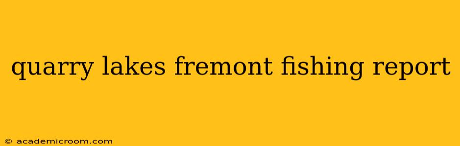 quarry lakes fremont fishing report