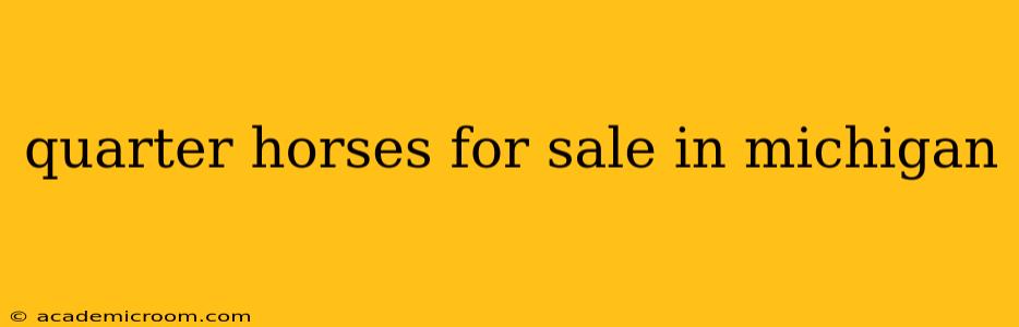 quarter horses for sale in michigan