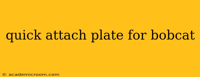quick attach plate for bobcat