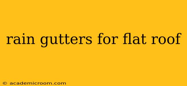 rain gutters for flat roof