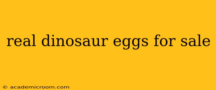real dinosaur eggs for sale