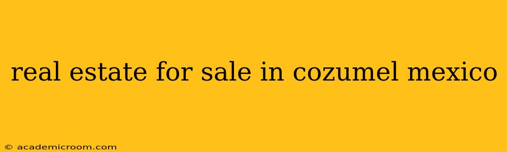 real estate for sale in cozumel mexico