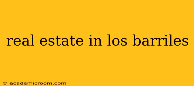 real estate in los barriles