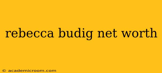 rebecca budig net worth
