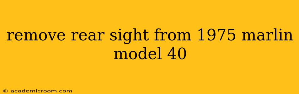 remove rear sight from 1975 marlin model 40