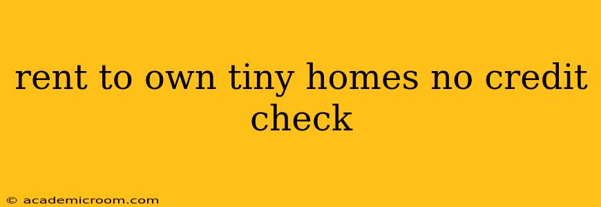 rent to own tiny homes no credit check