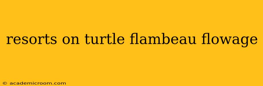 resorts on turtle flambeau flowage