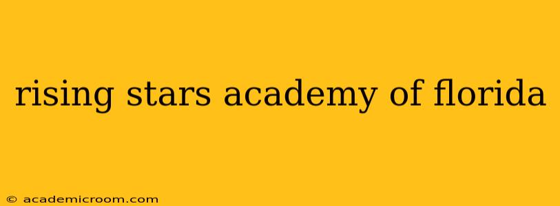 rising stars academy of florida