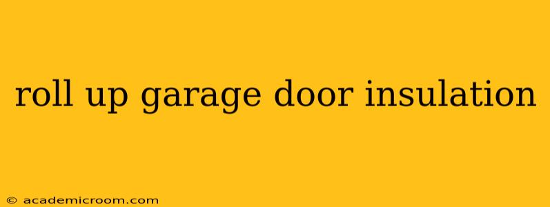 roll up garage door insulation