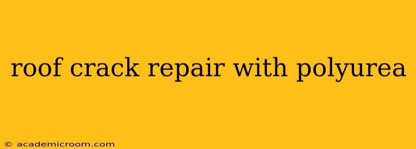 roof crack repair with polyurea