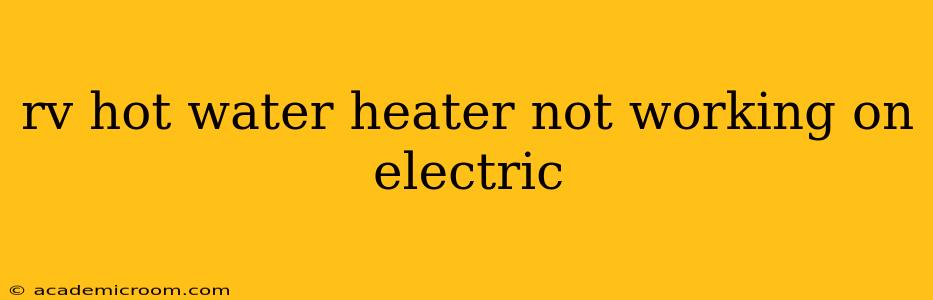 rv hot water heater not working on electric