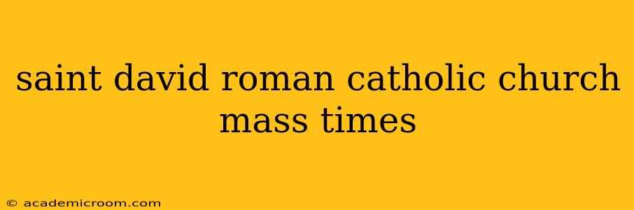 saint david roman catholic church mass times