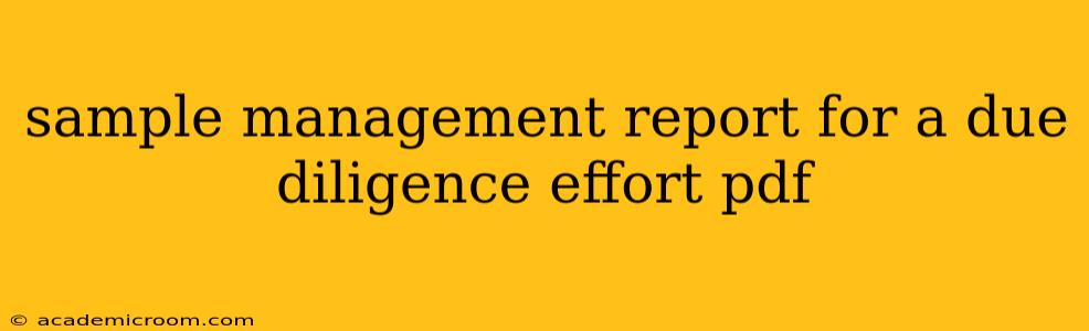 sample management report for a due diligence effort pdf