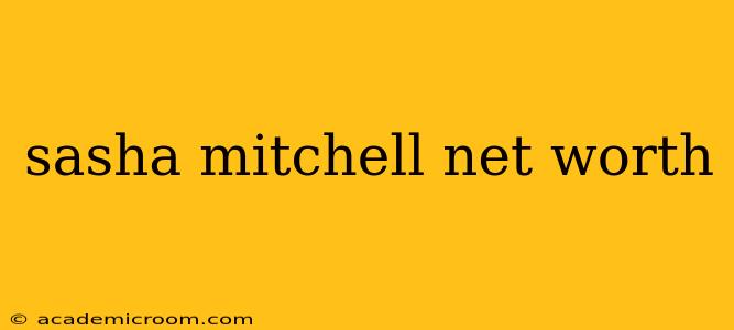 sasha mitchell net worth