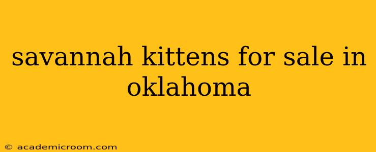 savannah kittens for sale in oklahoma