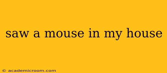 saw a mouse in my house