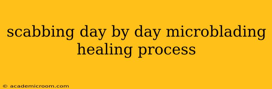 scabbing day by day microblading healing process