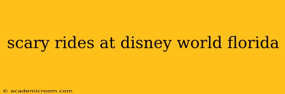 scary rides at disney world florida