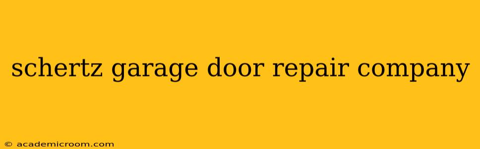 schertz garage door repair company