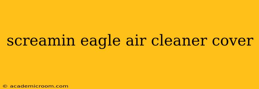 screamin eagle air cleaner cover