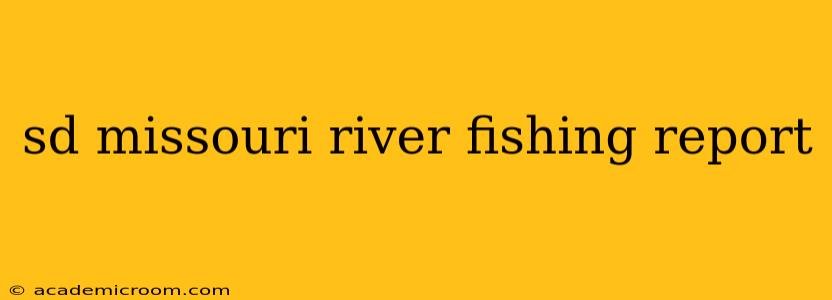 sd missouri river fishing report
