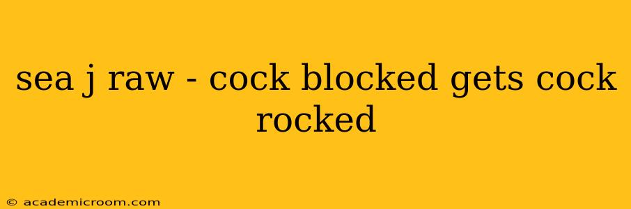 sea j raw - cock blocked gets cock rocked