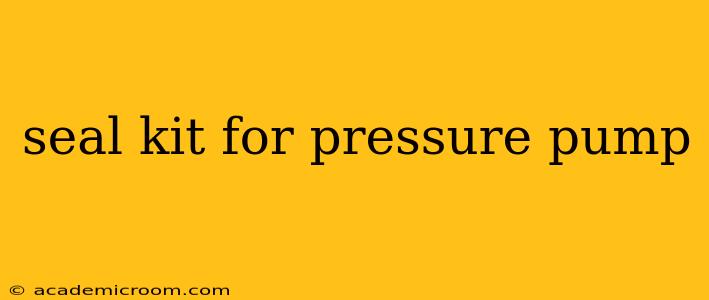 seal kit for pressure pump