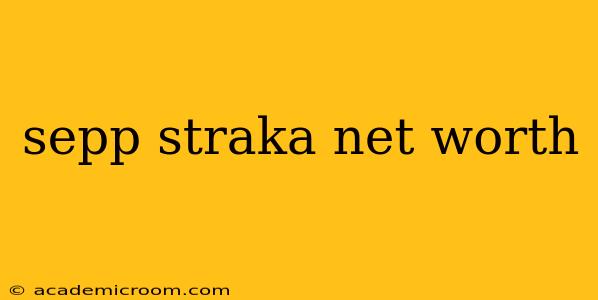 sepp straka net worth