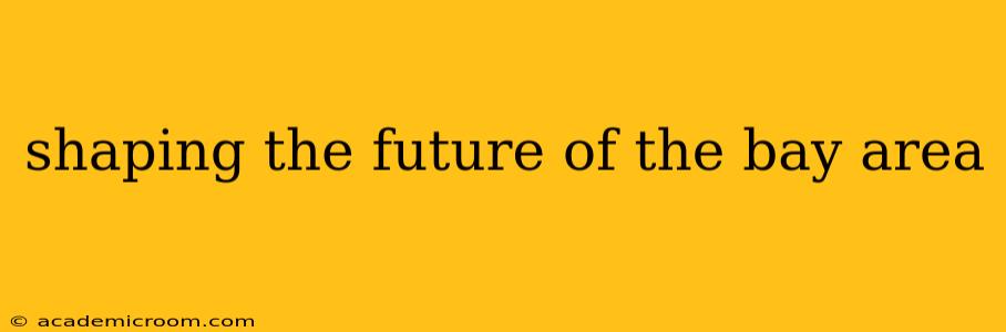 shaping the future of the bay area