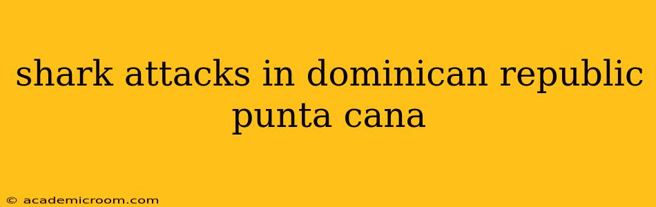 shark attacks in dominican republic punta cana