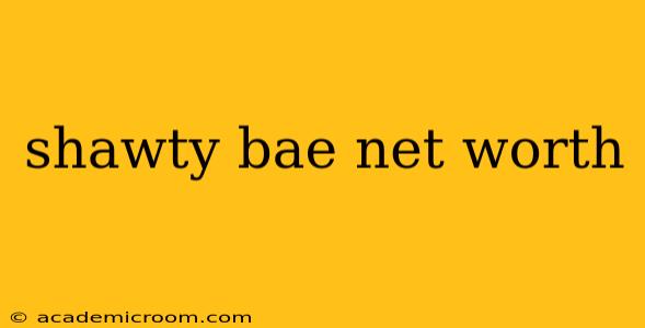 shawty bae net worth
