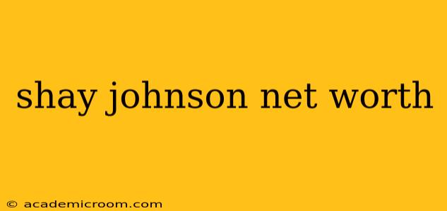 shay johnson net worth