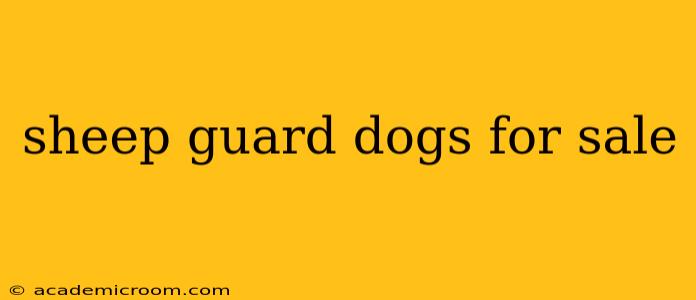 sheep guard dogs for sale