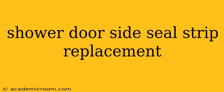 shower door side seal strip replacement
